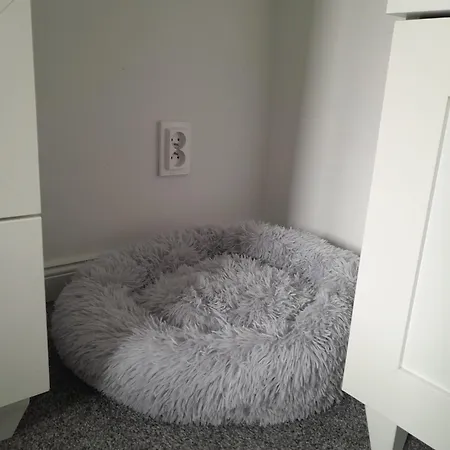 Appartamento 